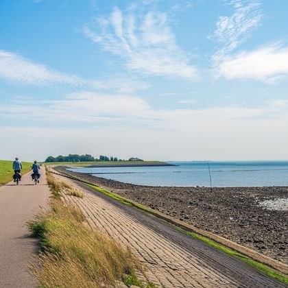Zwei Radfahrer auf einem asphaltierten Küstenweg in Zeeland, Niederlande. Grüne Felder links, felsige Küste und blaues Meer rechts.