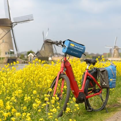 Kinderdijk