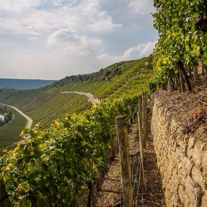 Hessigheim am Neckar