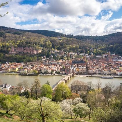 Heidelberg