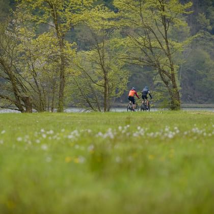 Zwei Radfahrer fahren durch eine grüne Wiese mit weißen Blumen entlang der Donau, umgeben von Frühlingsbäumen mit frischem Laub.
