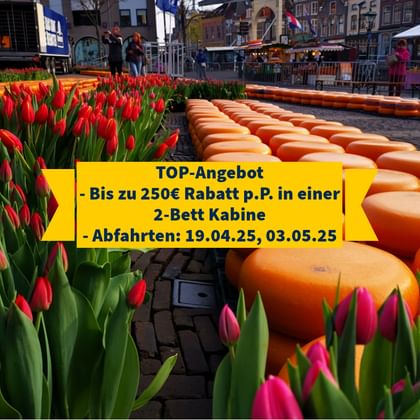 TOP-Angebot, MS Rigoletto