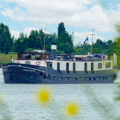 River cruise ship Magnifique X with dark blue hull and white superstructure sailing on a canal, framed by yellow flowers and green foliage.