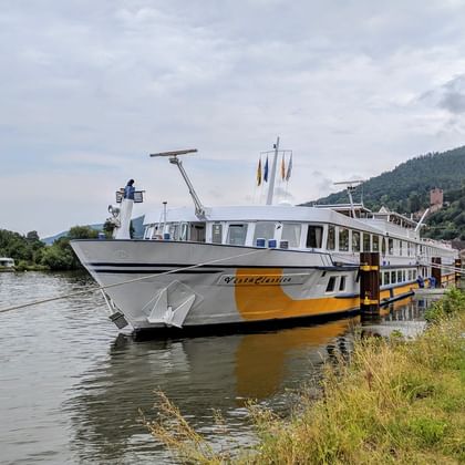 MS Classica Flusskreuzfahrtschiff mit weißem und gelbem Rumpf am grünen Flussufer. Hügel und Gebäude im Hintergrund unter bewölktem Himmel.
