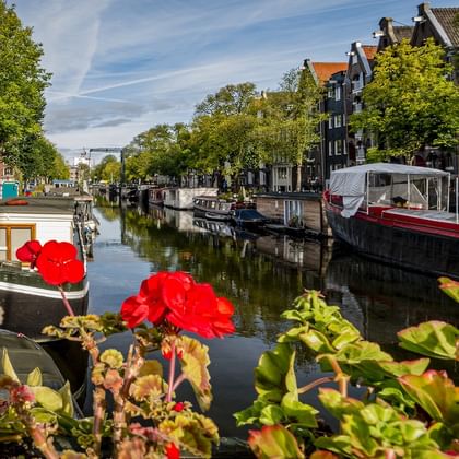 Amsterdam