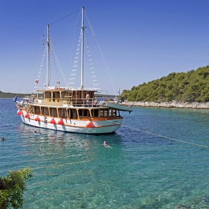 MS DALMATINO