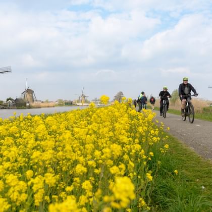 Drei Radfahrer auf einem Weg neben leuchtend gelben Rapsblüten mit traditionellen holländischen Windmühlen von Kinderdijk im Hintergrund unter bewölktem Himmel.
