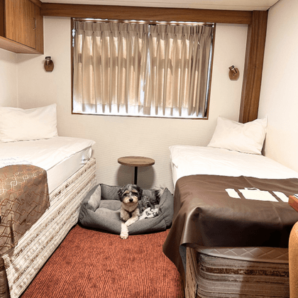 Twin cabin on Classica ship with two single beds, dog bed between them, window with curtains, and wooden furniture.