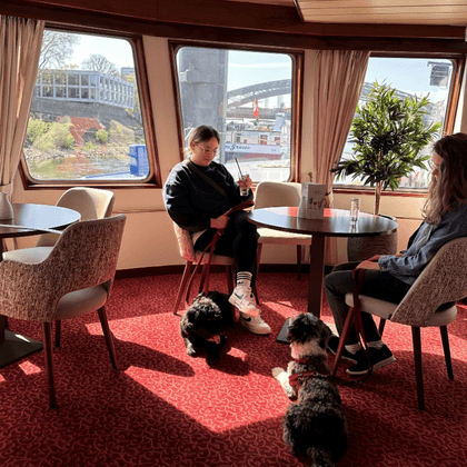 Interior of Classica ship salon with two passengers seated at tables and two small dogs on red carpet. Large windows show harbor view.