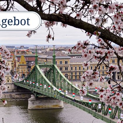 Frühling an der Kettenbrücke, Budapest