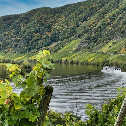 MS Olympia MS Olympia