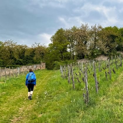 Wandern am Rheinsteig