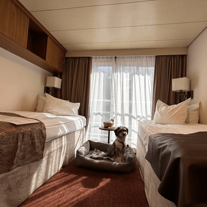 Twin cabin on Classica with two beds, brown bedding, window with curtains, and a dog bed with small dog between the beds.