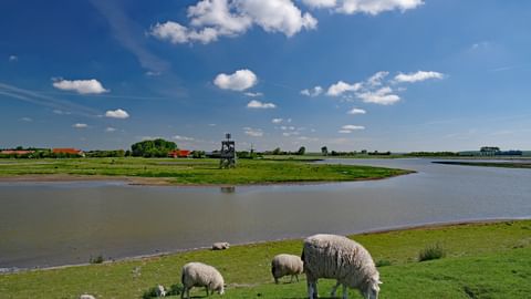 Osterscheelde Nationalpark, Niederlande
