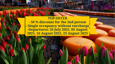 TOP OFFER, MS RIGOLETTO