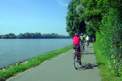 Cycle path along the Rhine near Mainz