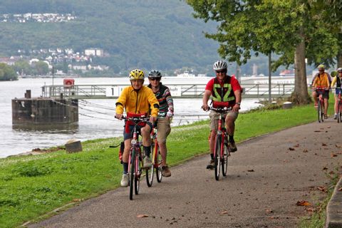 Cyclists on the Neckar