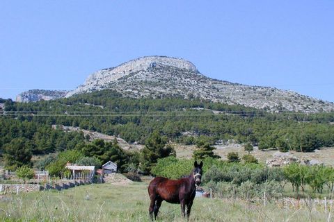 Pferd auf der Insel Brac