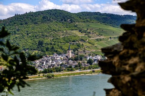 Rhine landscape