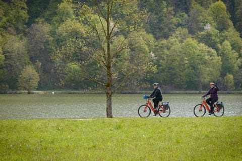 Bike and Boat on the Danube