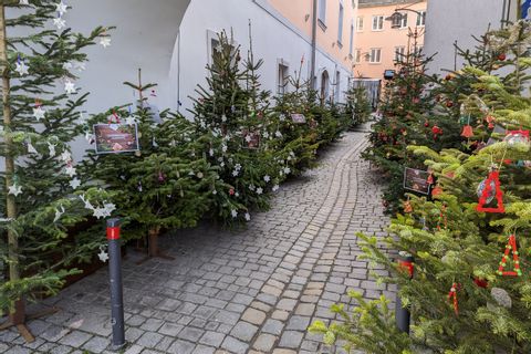 Weihnachtsmarkt Vilshofen