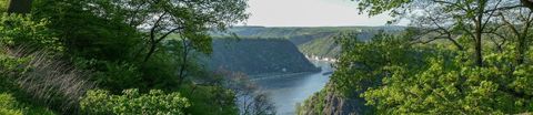 View of the Loreley