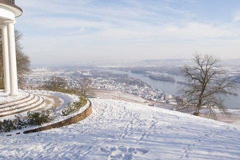 Blick auf das Rheintal im Winter