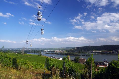 Vineyards near Rüdesheim