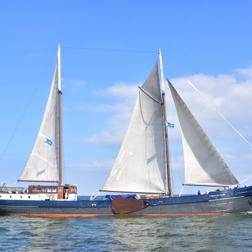 Wapen fan Fryslan