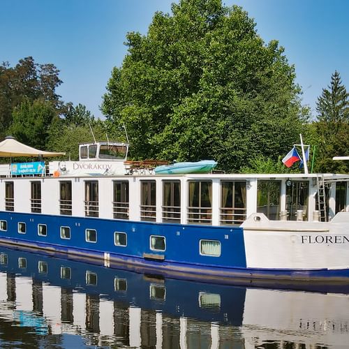 MS Florentina, ein blau-weißes Flusskreuzfahrtschiff mit mehreren Decks und großen Fenstern, vor Anker auf ruhigem Wasser mit Bäumen und Gebäuden im Hintergrund.