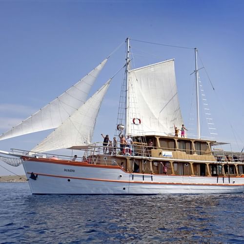 MS DALMATINO