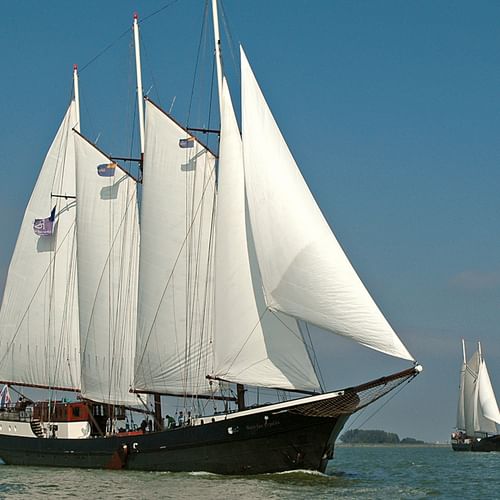 MARE FAN FRYSLÂN