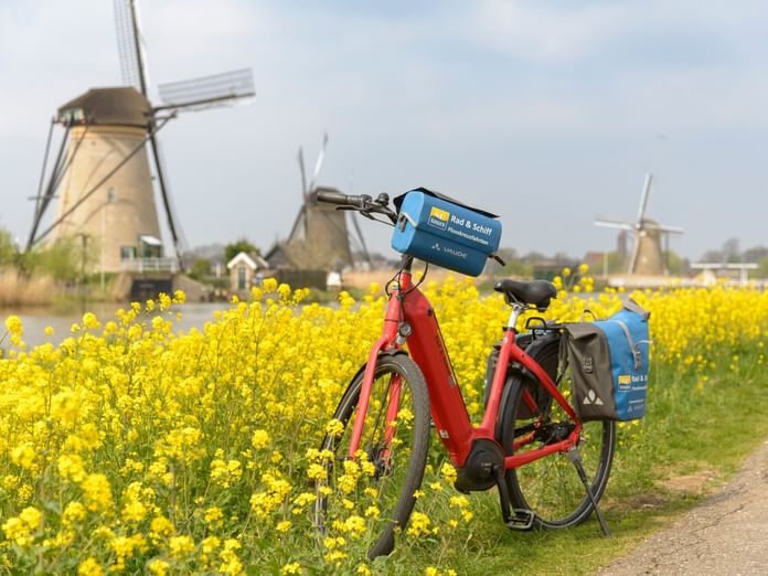 Rotes Fahrrad mit blauen Taschen neben gelbem Rapsfeld mit historischen Kinderdijk Windmühlen im Hintergrund unter bewölktem Himmel.