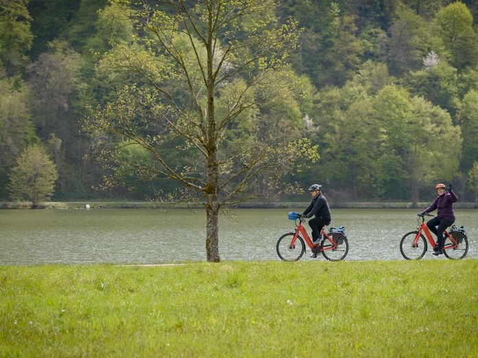 Zwei Radfahrer auf roten Fahrrädern entlang der Donau auf einem Wiesenpfad, mit großem Baum und bewaldeten Hügeln im Hintergrund.